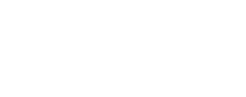 LogiBridge